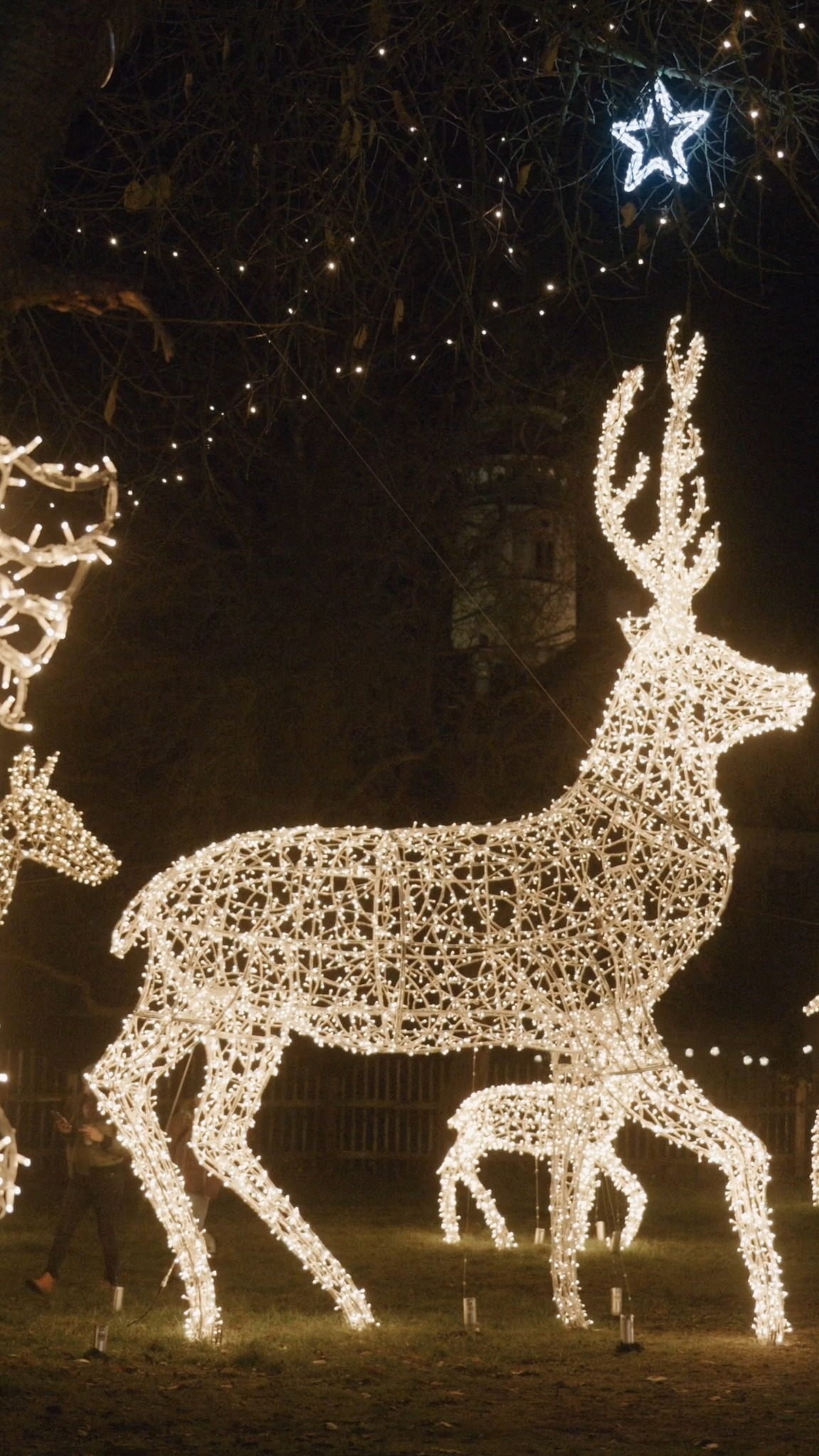 #storyoflights Beitrag