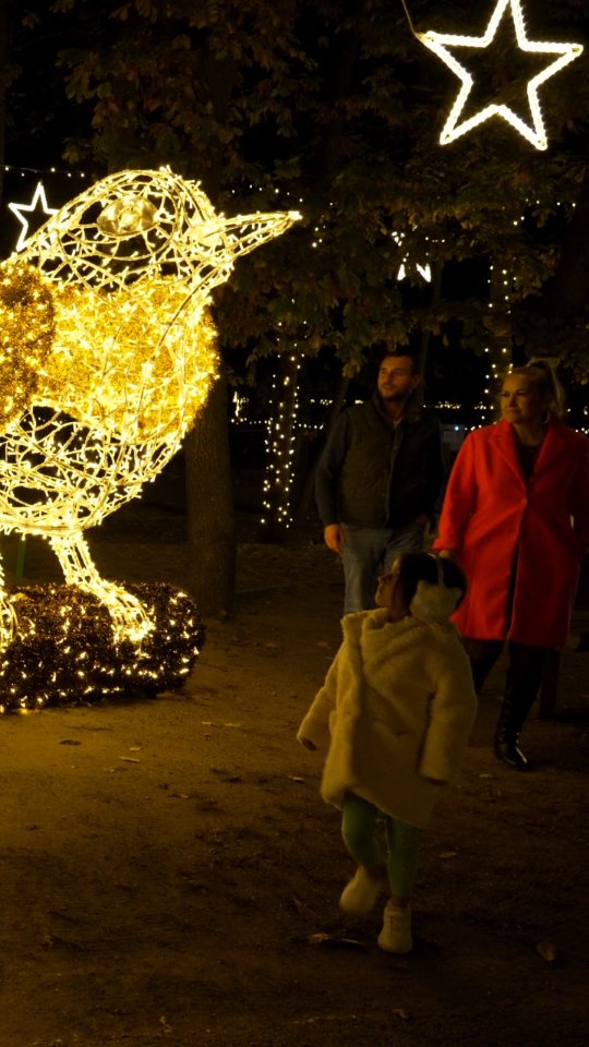 #storyoflights Beitrag