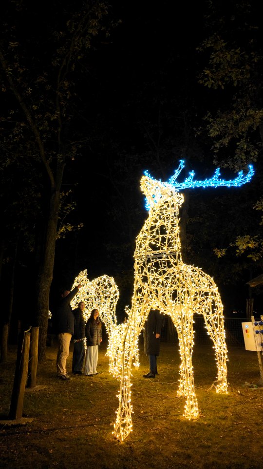 #storyoflights Beitrag